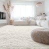 Homaxy High Pile Fluffy Rug Non-Slip Underside Washable Small Rugs