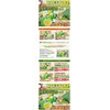 Father's Day Gift Marunaka Green Tea Set of 5 Pieces