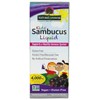 Natural's Answer Kids Sambucus, Gluten-Free, Alcohol-Free, 4000mg, 120 ml