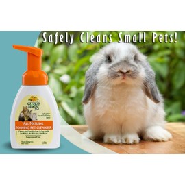Citrus Magic Pet Rinse-Free Pet Shampoo, 8-Fluid Ounce