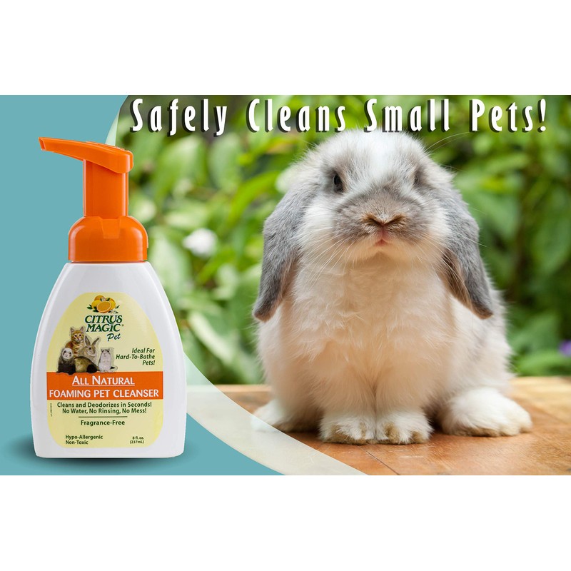 Citrus Magic Pet Rinse-Free Pet Shampoo, 8-Fluid Ounce