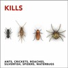Raid Max Ant & Roach Killer, Insecticide Raid Spray, Kills