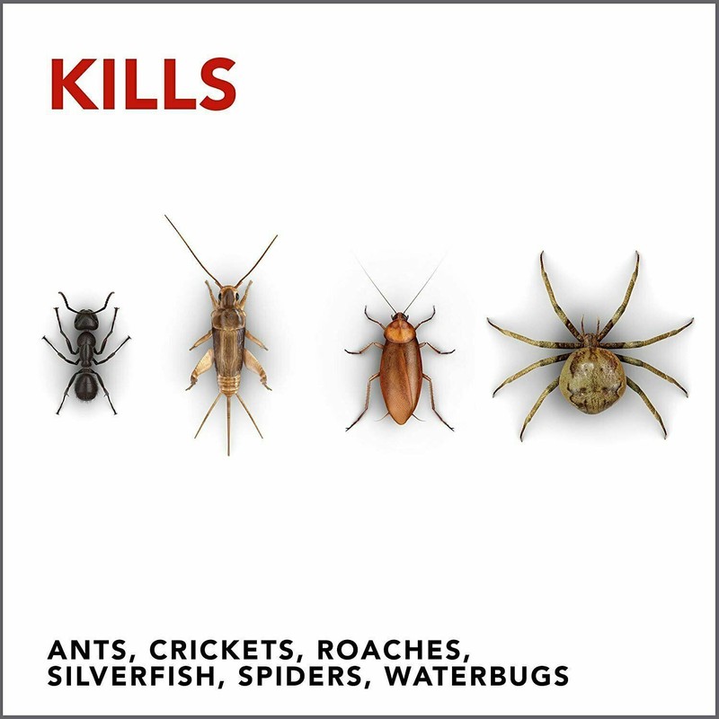 Raid Max Ant & Roach Killer, Insecticide Raid Spray, Kills