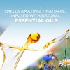 Air Wick Plug in Scented Oil Refill, 5 ct, Fresh