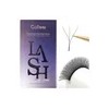 Pestañas Prearmadas Gollee W 3D Curvatura D Negro Espesor 0.07mm