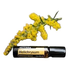 Touch Helicriso Doterra 10ml
