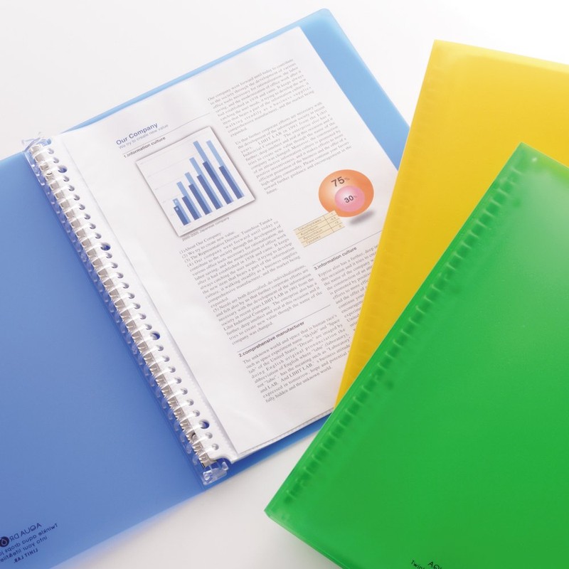 Lihit Lab N5010-1 Clear Book, Interchangeable A4, 30 Holes, 15