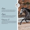 Annimally Selenium, Vitamin E, Lysine Powder for Horses, 800 g,