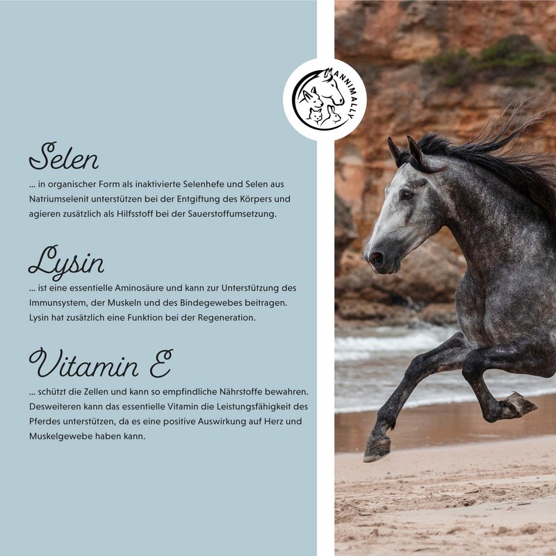 Annimally Selenium, Vitamin E, Lysine Powder for Horses, 800 g,