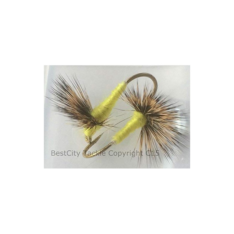 BestCity Fly Fishing Premium Comparadun Dry Flies 16 Pack Includes