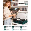 Vinyl Record Player with Built-in Speakers, USB Recording, Dark Green