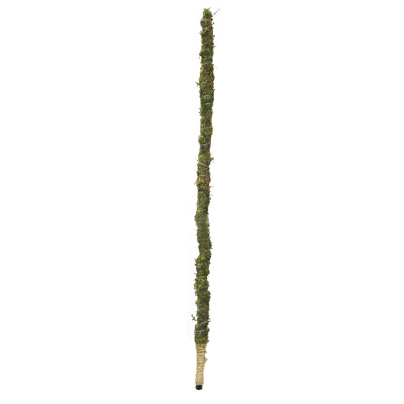 Moss Pole Coconut Stick DIY Modeling Plant Climbing Pole Climbing