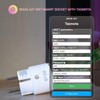 NOUS Tasmota Socket NOUS A1T, Smallest WiFi ESP8266 Smart Plug,