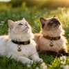 2 Pcs Retro Leather Cat Collar for Boy Cats, Adjustable
