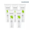 Chamzone 참존 징코 내츄럴 클렌징 폼 200ml 5개 Charmon Zheng