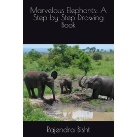 Marvelous Elephants: A Step-by-Step Drawing Book