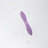 myolift™ Jowl Mask: Microcurrent Technology for Perfect Jawline| Reduces Aging
