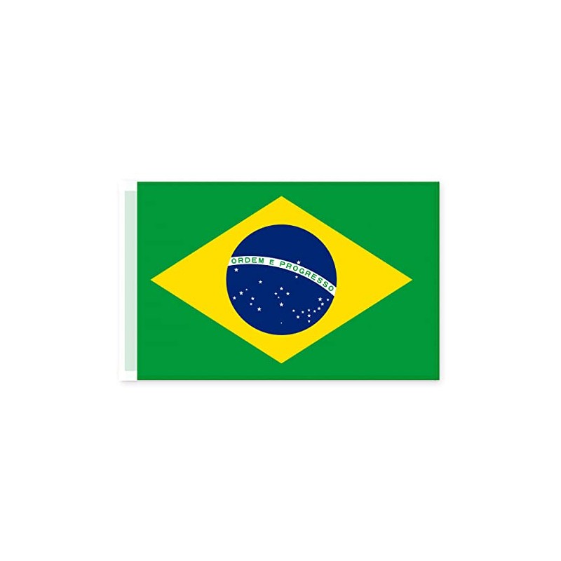 Brick Takeover Brazilian Flag - Brazil Flag - Green -