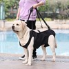 Taicols Dog Transport Harness, Support and Recovery of Animal Legs,