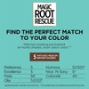 L'Oreal Paris Magic Root Rescue 10 Minute Root Hair Coloring