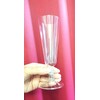 Plastic Disposable Champagne Glasses, 24 Count MYCSH24