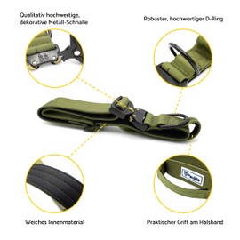 Paulde Dog Collar with Handle and Metal Buckle, Adjustable, High Quality and Durable, Ideal for Training and Everyday Use (Olive Green, M: 35-45 cm, Width 3.8 cm)