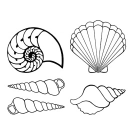 Captive Decals Seashells Shells 25 pcs 1 Inch Black Fused Glass Decals