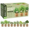 Planters' Choice 9 Herb Window Garden - Indoor Herb Growing