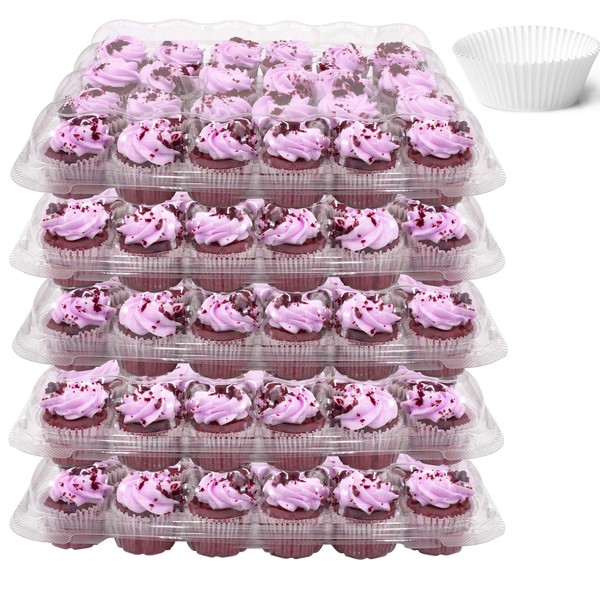 24 Compartment Mini Cupcake Containers, Set of 5 Disposable Plastic High Dome Lid Cupcake Boxes for Transporting Small Cupcakes with Tall Icing