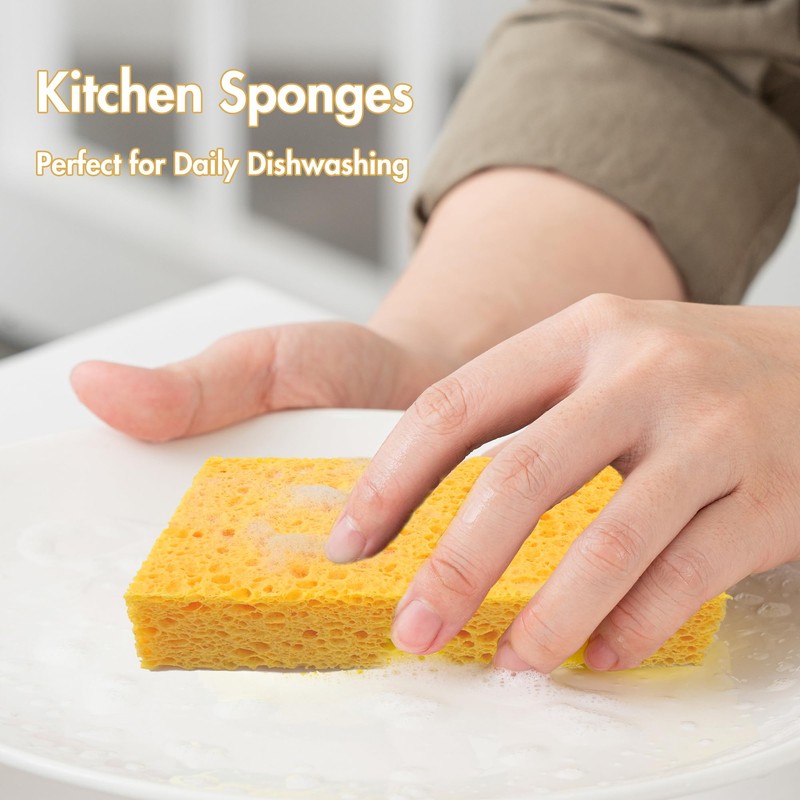 6 x 3.6 x 0.9 Inch JK SP-T22 Large Sponge,