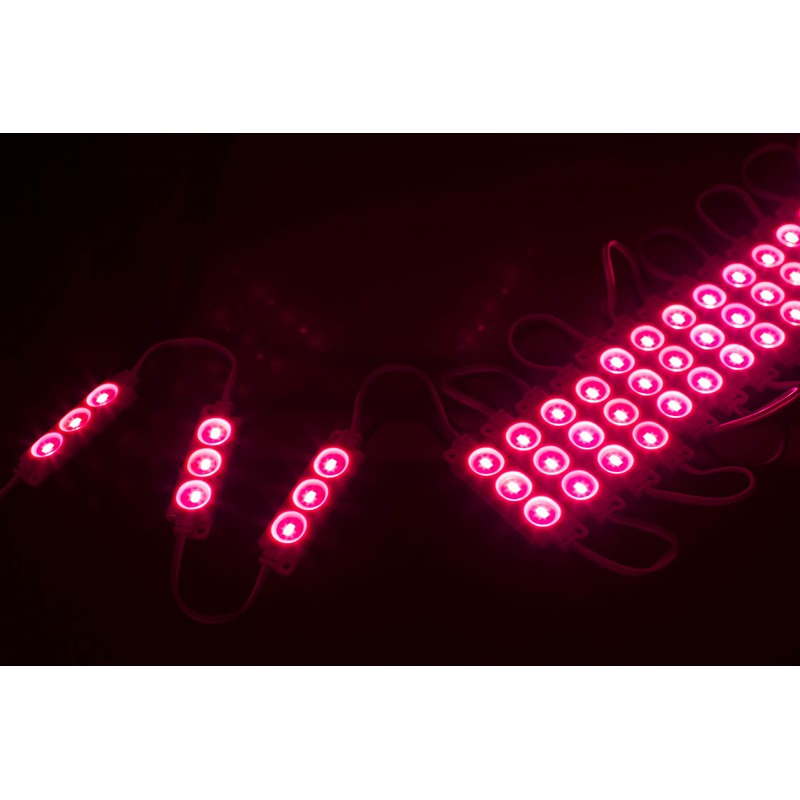 ledupdates 40ft Storefront Magenta hot Pink LED Light Module 5630