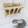 Rabbit Rabbits Meadow Container Hay Rack Food Bowl Rabbits Timothy