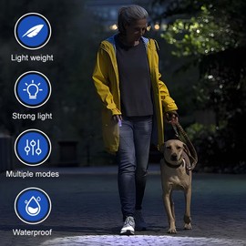 BNGXR Pack of 12 Mini LED Torches, Torch with Key Ring, Portable Aluminium Alloy Children's Torch for Outdoor Camping Cycling