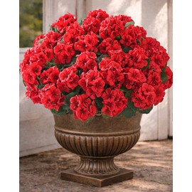 Flores artificiales para exteriores – 6 paquetes de geranios artificiales resistentes a los rayos UV, flores de seda realistas para porche delantero, patio, jardín, cajas de ventana y