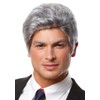 Mr. President Grey Wig Costume Accessory