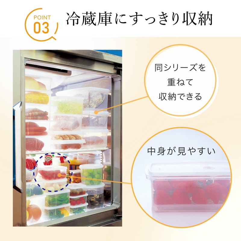 Iwasaki Industries B-387 N Lastroware Storage Container, Made in Japan,