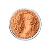 Intelligent Cosmetics® mineral make up foundation, setting veil, concealer, natural