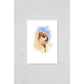 Poster Reproduction of Pomeranian Spitz dog on watercolor background. Illustration of a handsome puppy. Cute Spitz. Small Lap Dog Breeds. Hand drawn Portrait. Watercolor Animal collection: Dogs