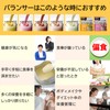 BALANCER バランサー 170g バナナ風味 10杯分 20種類の栄養1日分が摂れる 栄養ドリンク 置き換えダイエット