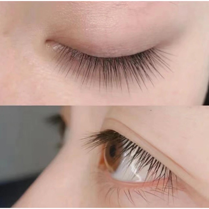 Ba01 False Eyelashes, Natural, Non-Curly, Transparent, Feeling Hair, 5 Pairs,