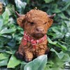 Vivid Arts - Highland Cow - Mini Hanging Ornament