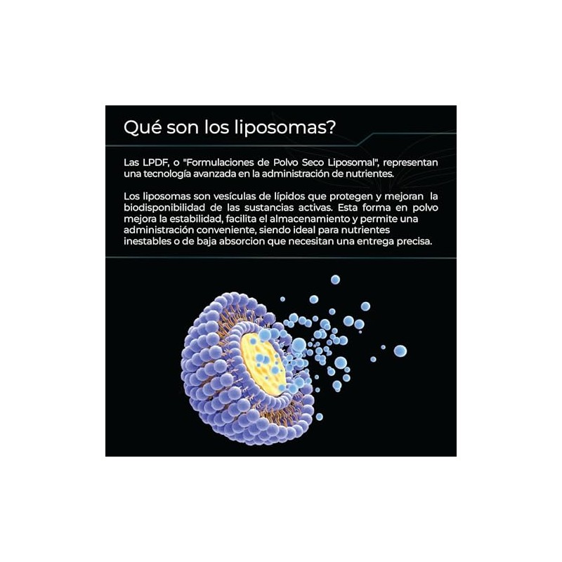 ETERNAL NUTRITION Ultra Pure: L-Treonato de Magnesio Liposomal (300 Caps)