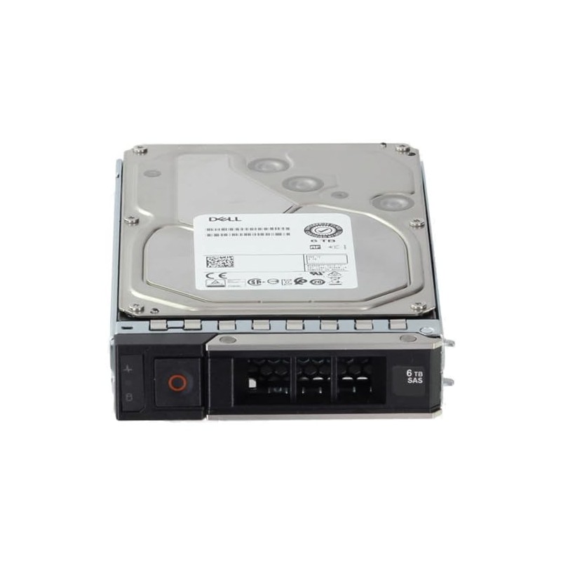 Dell 6TB 7.2K 12Gbps NL SAS 3.5 HDD 512e (Renewed)