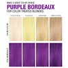Purple Color Depositing Shampoo - Semi Permanent Hair Color with