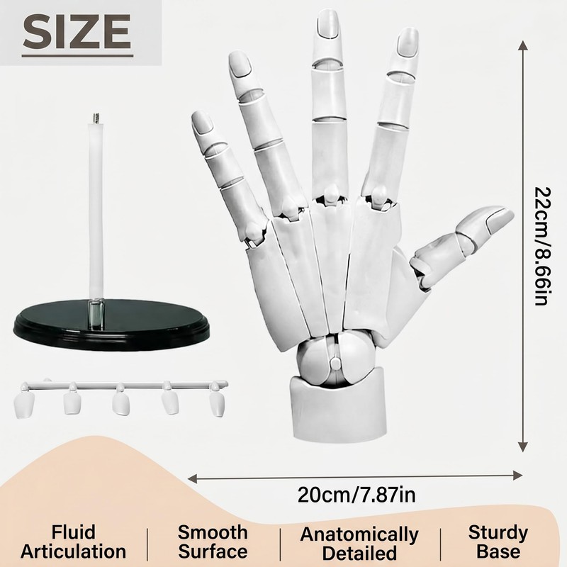 Articulated Hand Model for Drawing 1:1 Size Posable Mannequin Hand