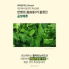 곰보배추 엑기스 곰보배추 추출물 배암차즈기 삼백초 시럽 곰배진 곰베진 Gombo