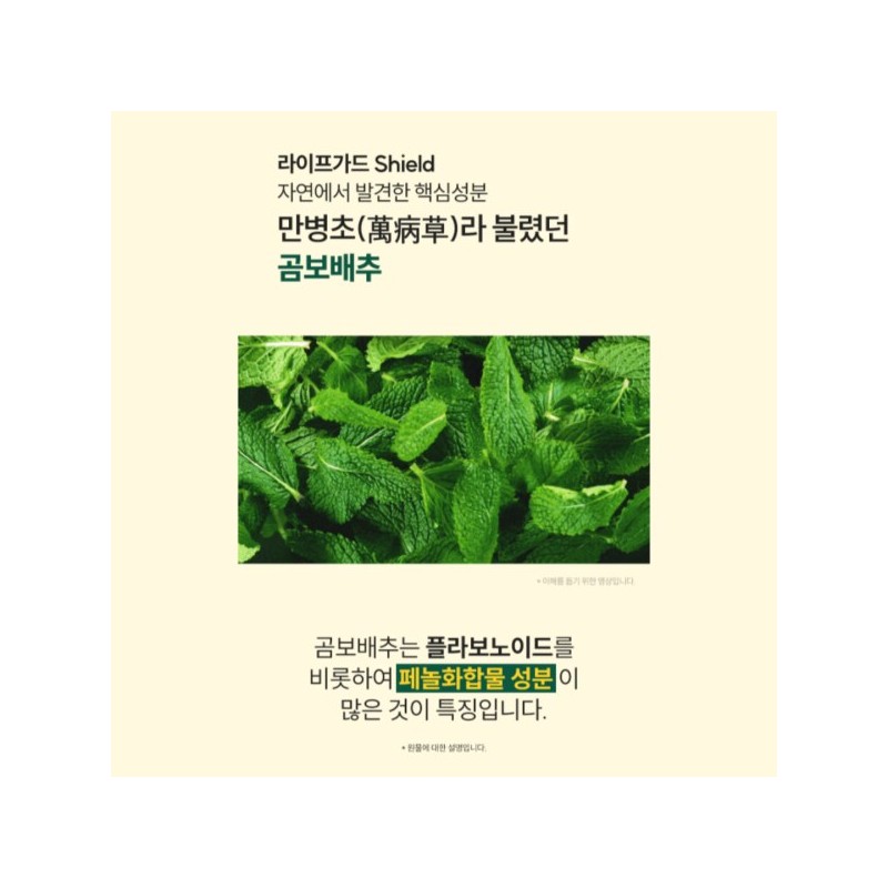 곰보배추 엑기스 곰보배추 추출물 배암차즈기 삼백초 시럽 곰배진 곰베진 Gombo