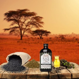 Shea Terra Organics 100 Percent Pure Egyptian Black Castor Extra Virgin Oil – Blackseed and Henna | All-Natural Strengthening and Conditioning Hair Oil for Healthy Hair Growth and Scalp– 8 oz