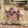 MingXpets Cat Harness and Leash for Walking, Retractable Cat Harnesses