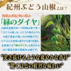 (100% Pure Japan) Kishu Grape Sanshimi Pepper; Additive-free; Salt Free;